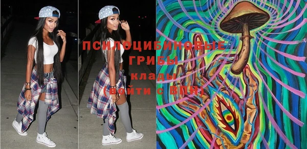 прущая мука Армянск
